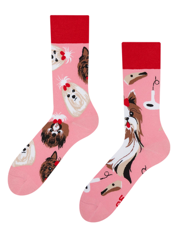 Lustige Socken Yorkshire Terrier