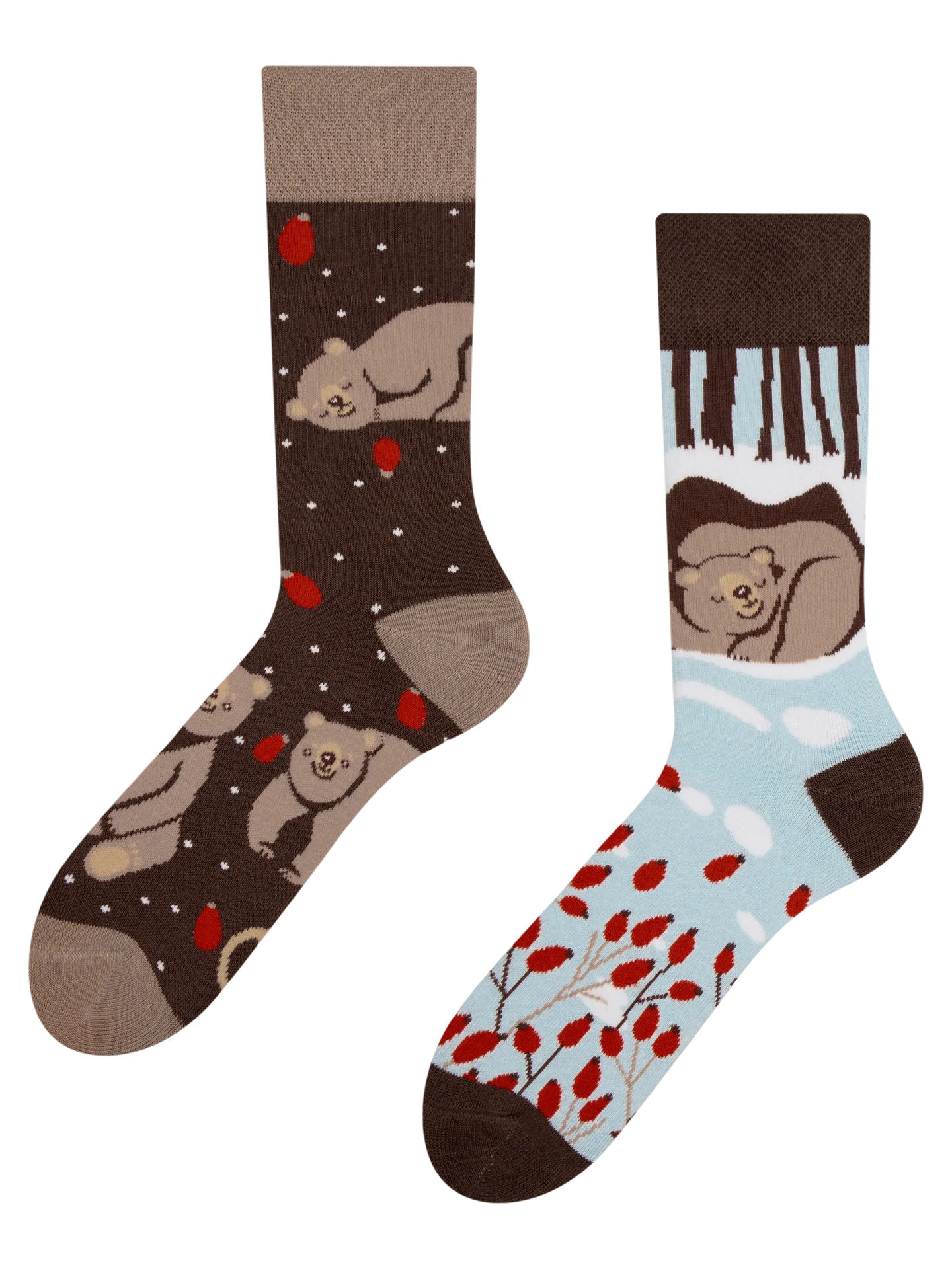 warm-socks-bear-in-winter-1-6a/6a2c26aefdf6f0f7483b9f7d37df13cb0e9587ef