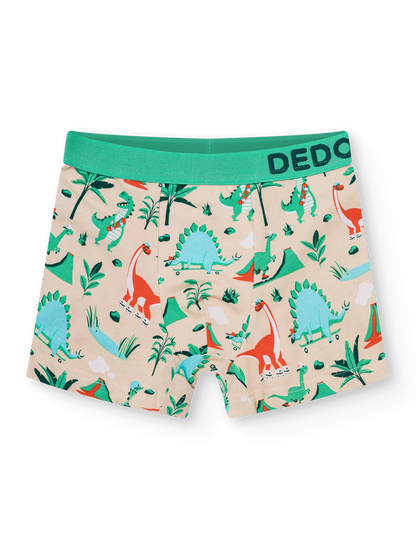 boys-boxers-dino-skatepark-okt-f6/f63091e8fbd84dfae0d4c9a62bace907fcdeed35