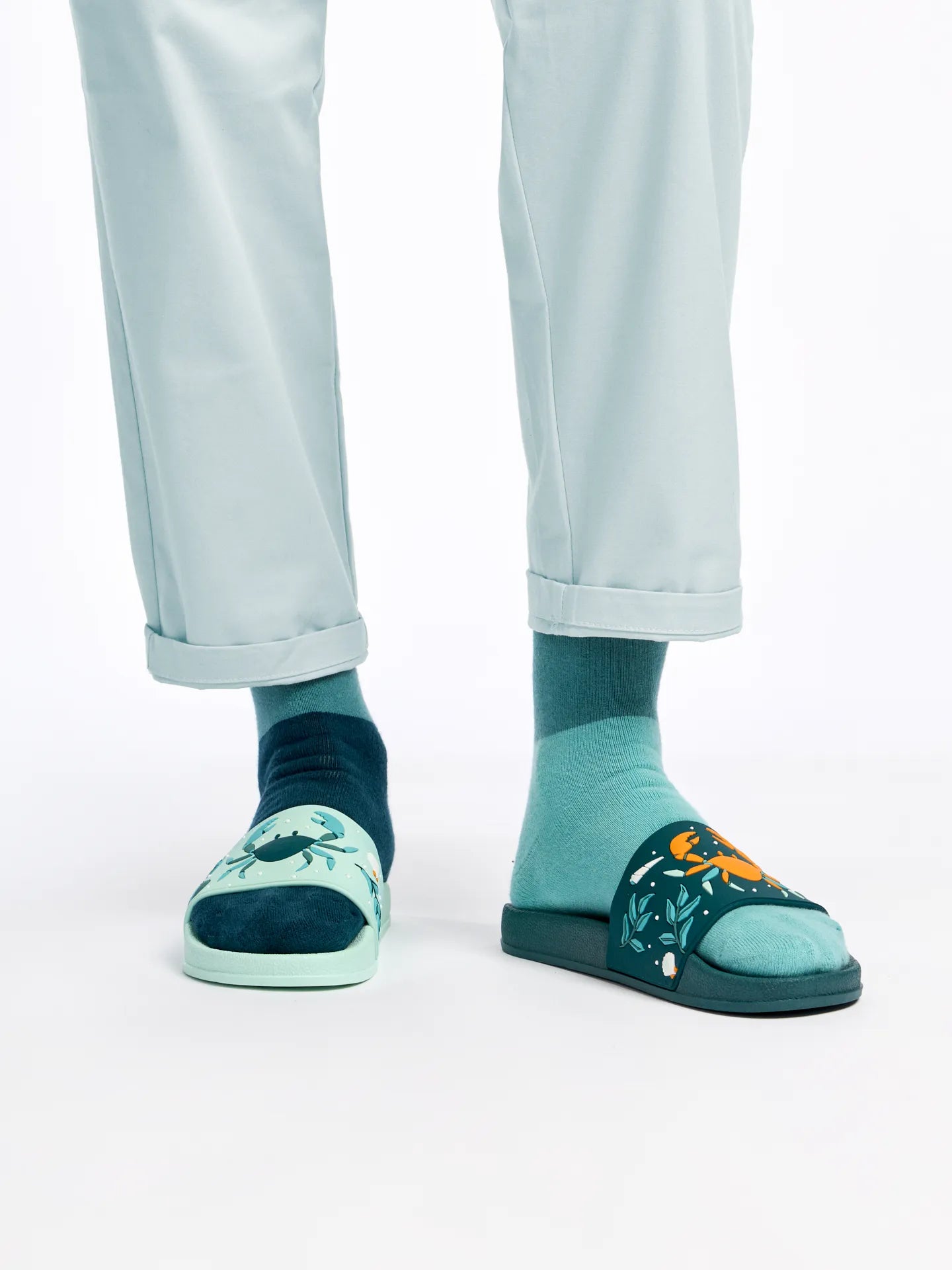 slides-sea-crab-1-28/2822f703ed77cb46040117d2b2601678b53a456b