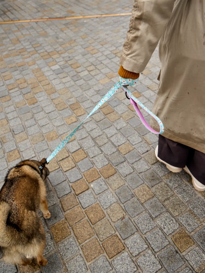 dog-leash-hearts-daisies-09/0987532fb10fb2e20f87fcb2abbebcb9a2e9ff3d