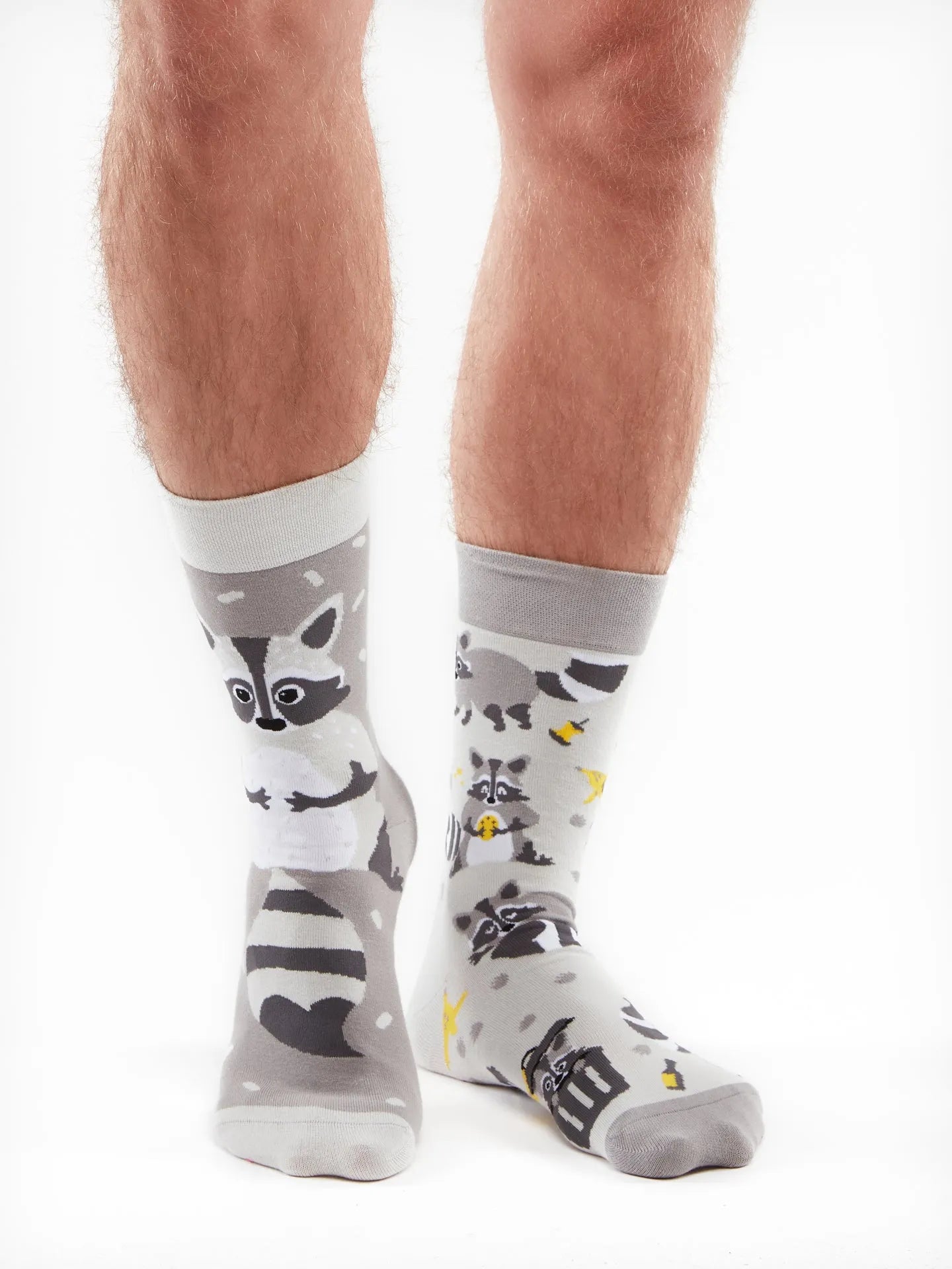 regular-socks-racoon-02-f3/f33875349177eb3c76a1525b6f7ae9e69823d87d