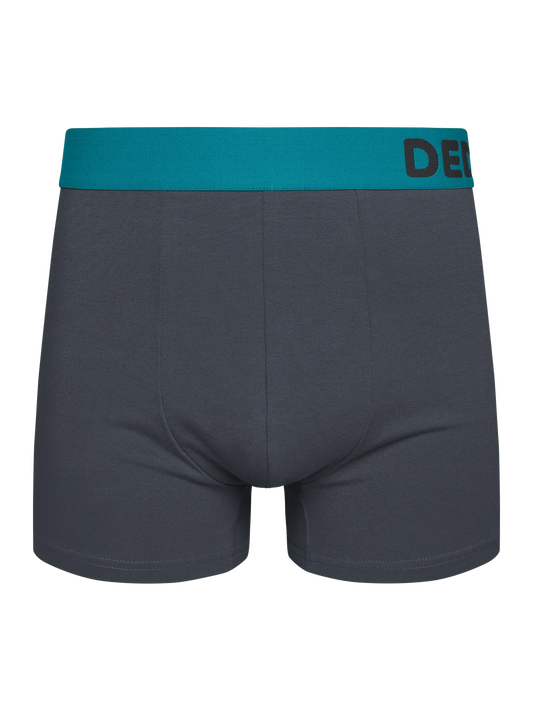 anthracite-grey-mens-trunks-1-69/697387afea245a78224dc05788a1400c659e4e86