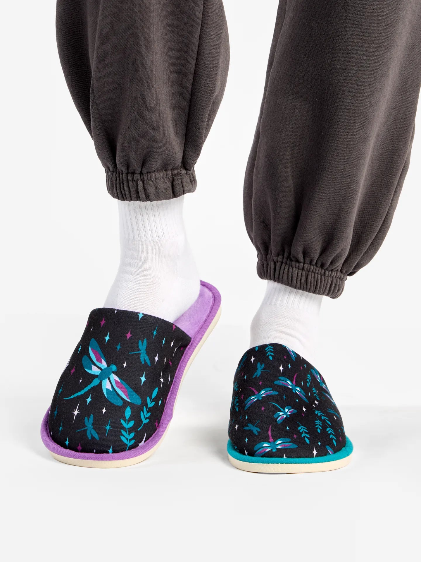 slippers-dragonflies-at-night-13/13545b014a13893989687fbab737d1b402da980a