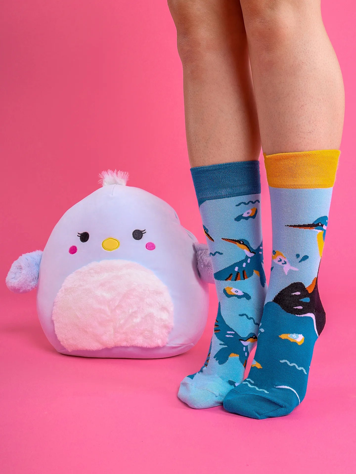 squishmallows-camden-the-blue-bird-30-cm-15/15772148c092f56a77860911a2b30b3c69a0be80