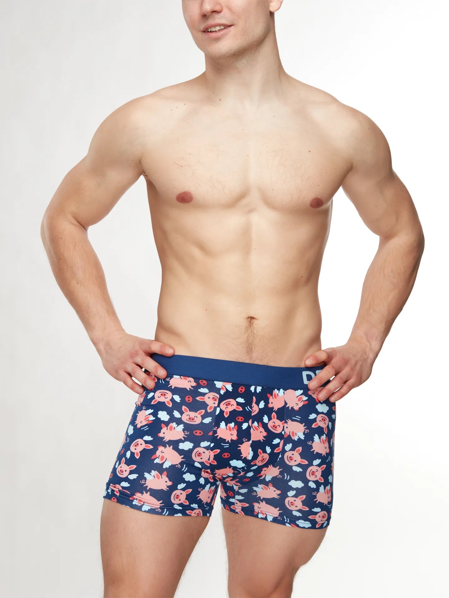 mens-trunks-flying-pigs-1-15/15b953734c6f47f8d6f288e52db274729dea5246