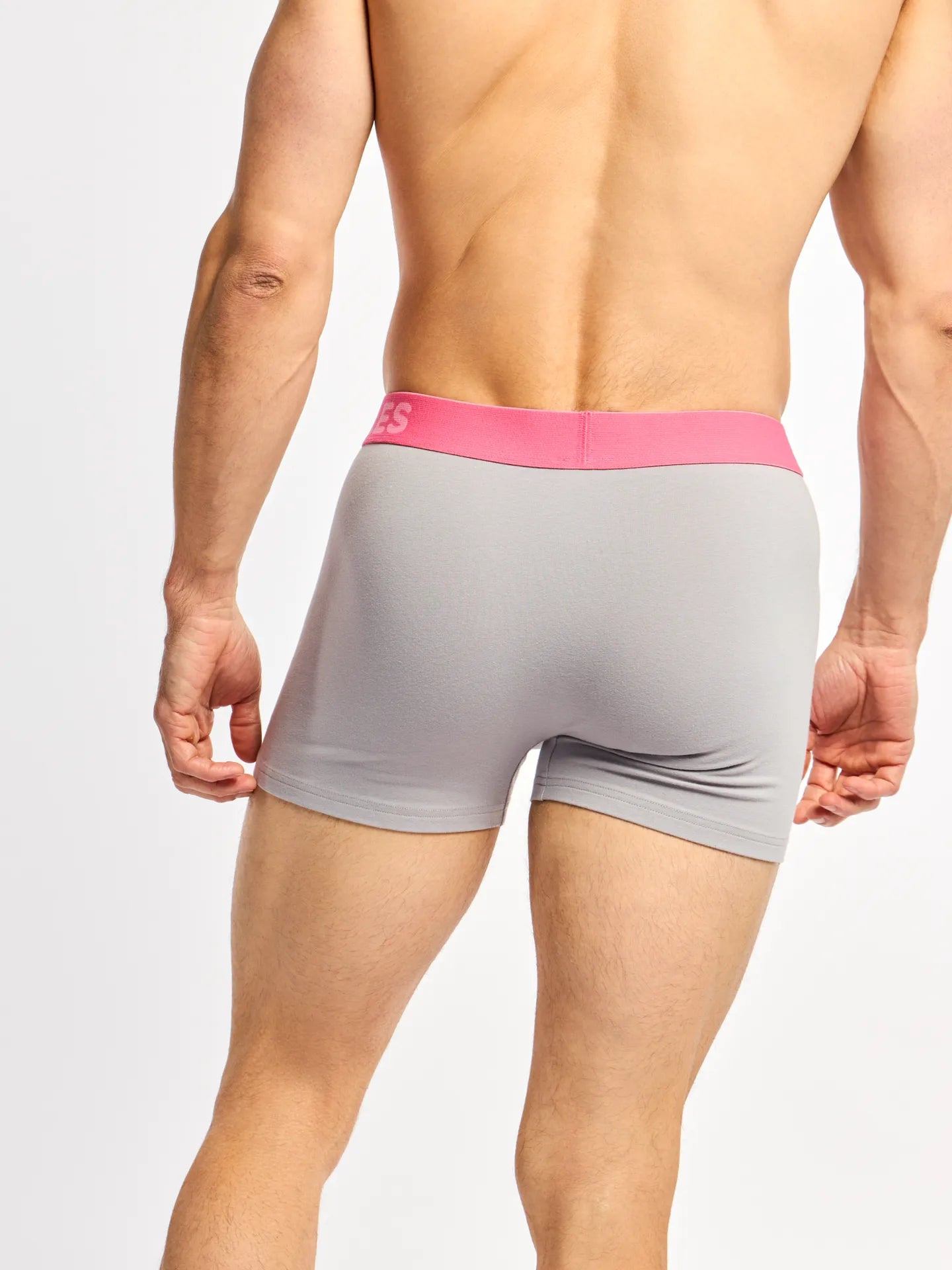grey-pink-mens-trunks-1d/1de6449bac60fe4c83c834ddd6d6673ed8432128
