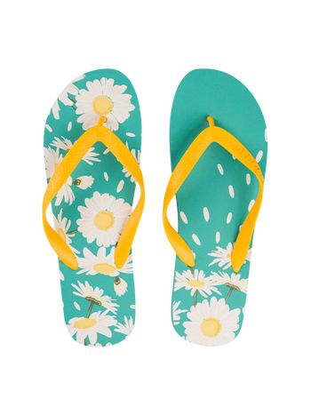 Lustige Flip-Flops Sommer-Gänseblümchen