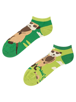 ankle-socks-meerkats-02-31/316582ff41d22200f987687c98cde85005416297