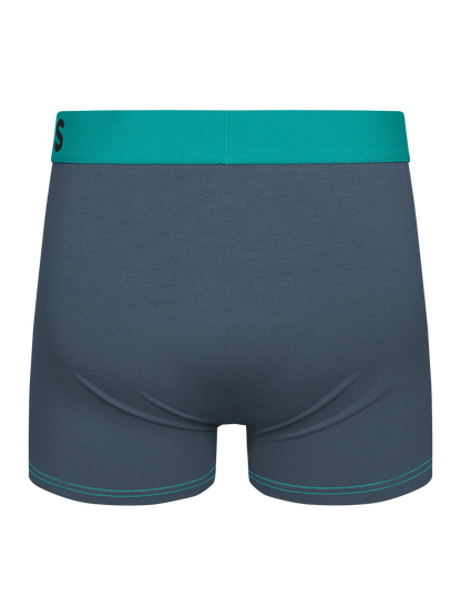 grey-turquoise-mens-trunks-1-42/42eed90b96f21d2ed5e320c952ff101e203bc2cf