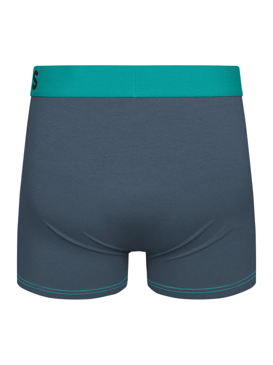 grey-turquoise-mens-trunks-1-42/42eed90b96f21d2ed5e320c952ff101e203bc2cf