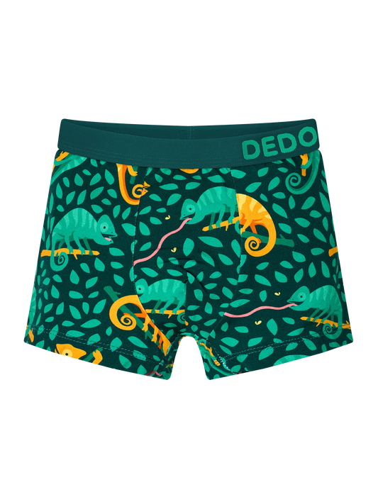boys-boxers-hunting-chameleon-5c/5c1e17be1706e625af065f9b84ca6ac366fa5320