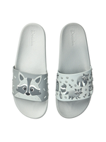 slides-racoon-5e/5e4705081bc2797a6d97eb9e3ddb4d7aeb5ca984