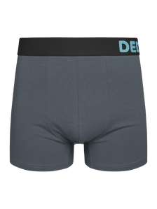 Herren Boxershorts Grau