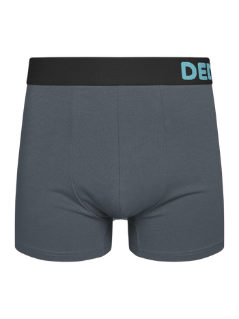 Herren Boxershorts Grau