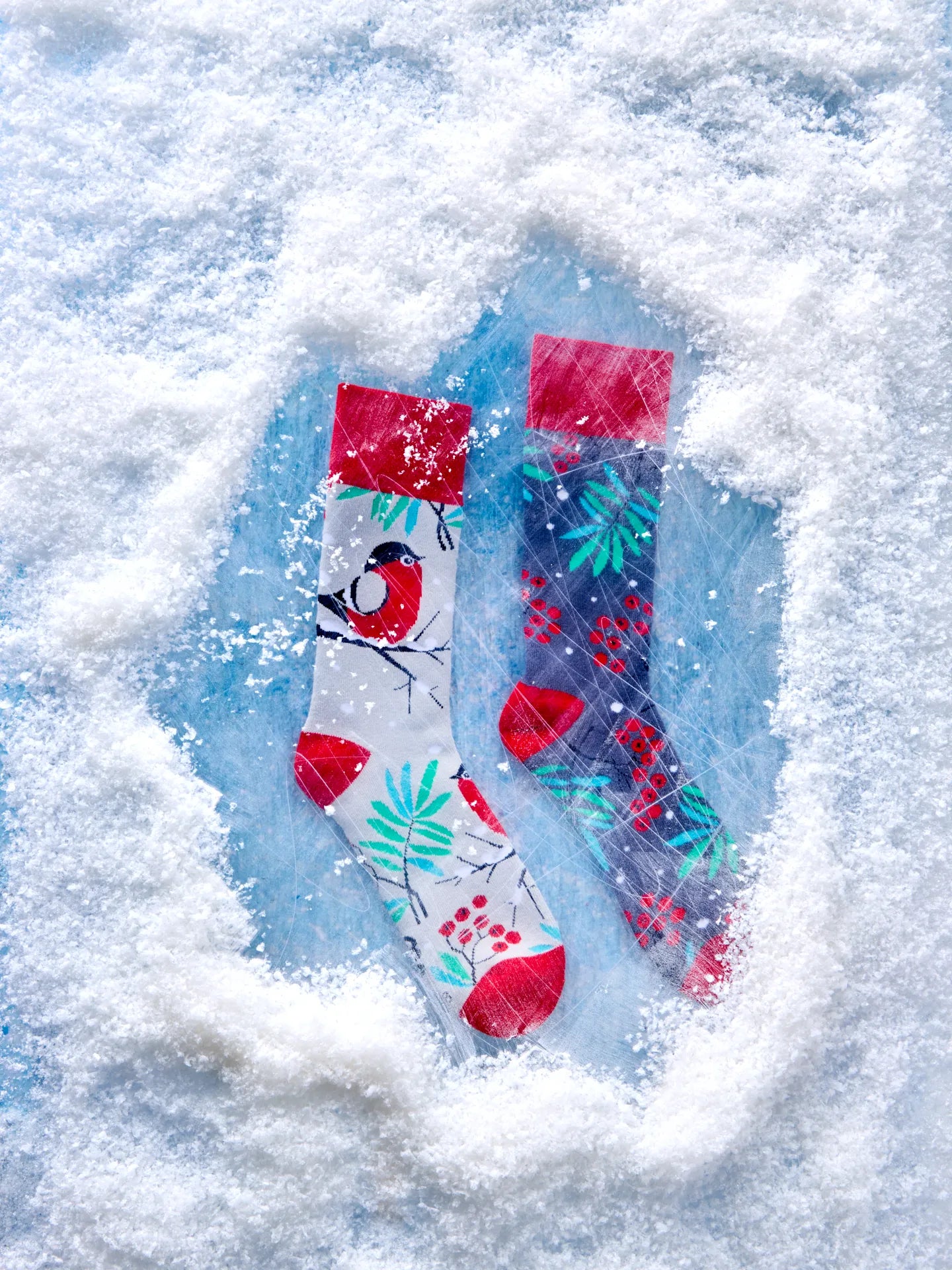 warm-socks-red-bird-64/641ee0528c58a9e7c3d8755e3aaaf07a5fcd74d6