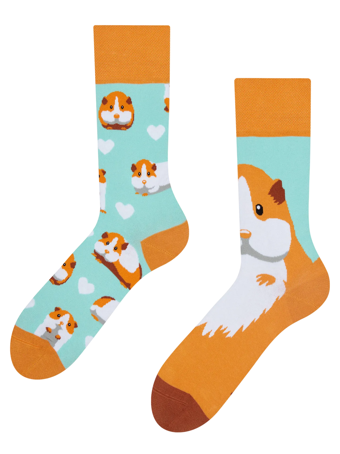 regular-socks-guinea-pig-69/698a85de33193804ab4fdba38452adcb24f639fe