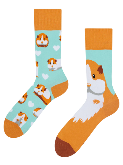 regular-socks-guinea-pig-69/698a85de33193804ab4fdba38452adcb24f639fe