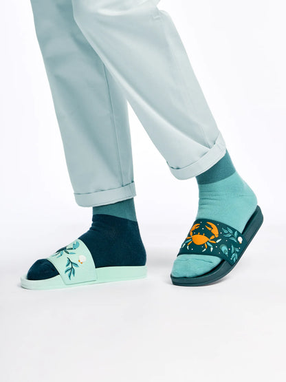 slides-sea-crab-6d/6da0e9291387c48e633f555c98a27d50483c28c3