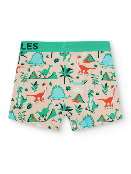 boys-boxers-dino-skatepark-6e/6ec4ae7032d77e20fd64f3dafe44bc700c906a52