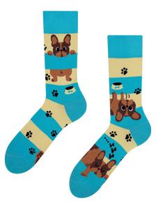 Lustige Socken Hunde und Streifen