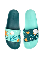 slides-seashells-5d/5d17fd7866ba270bf7d4338b476c66839bcd609f