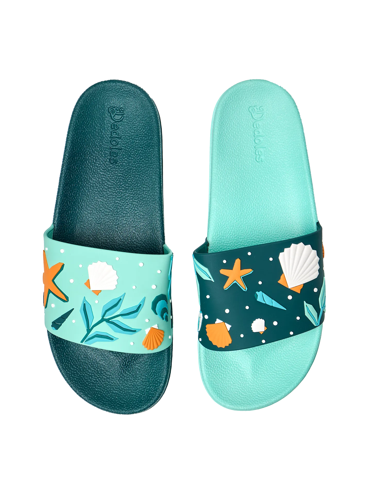 slides-seashells-5d/5d17fd7866ba270bf7d4338b476c66839bcd609f