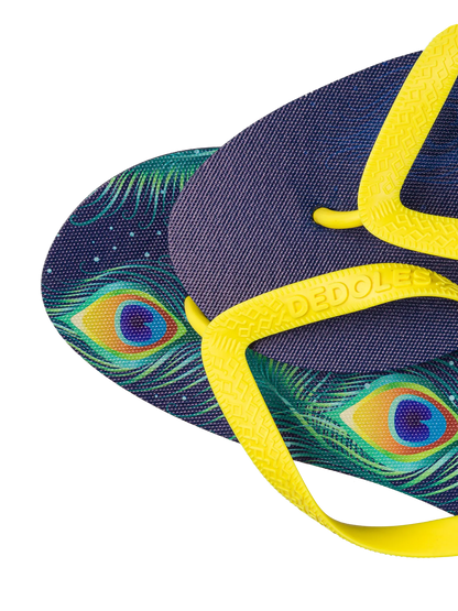 flip-flops-peacock-feathers-84/843c95a0f5e6ba980e97344aed55b5aa47c035cf