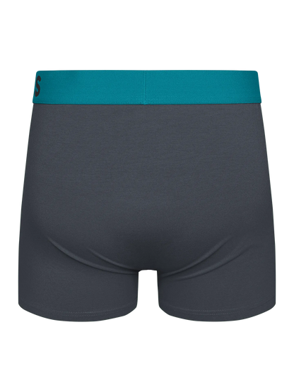 anthracite-grey-mens-trunks-1-78/78bd35e5e0e8c742068ce801efe668554a852d8b