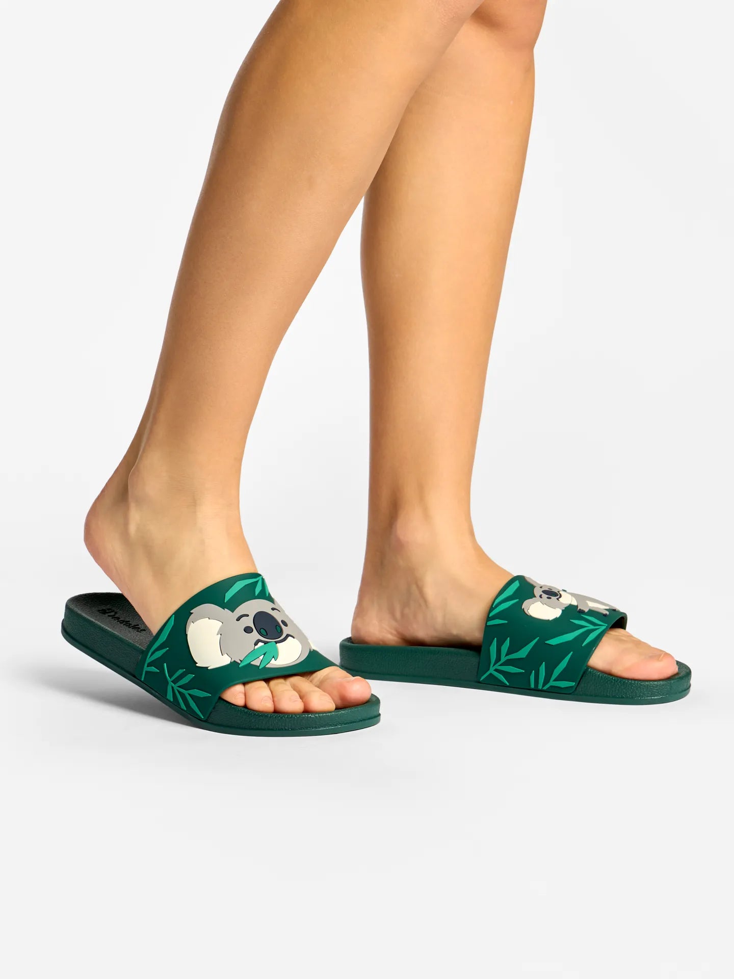 slides-koala-leaves-48/48377b81afd2ecd4b66ed54f1a3eea30bfa5ff7f