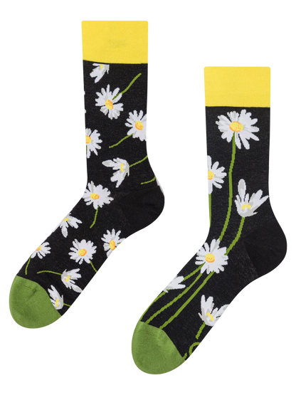 regular-socks-daisies-at-night-9b/9bf36480559adc9fe6e711279a574e265f74be83