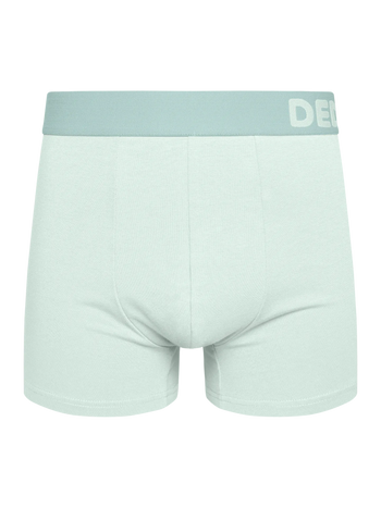 Mintgrüne Boxershorts für Männer