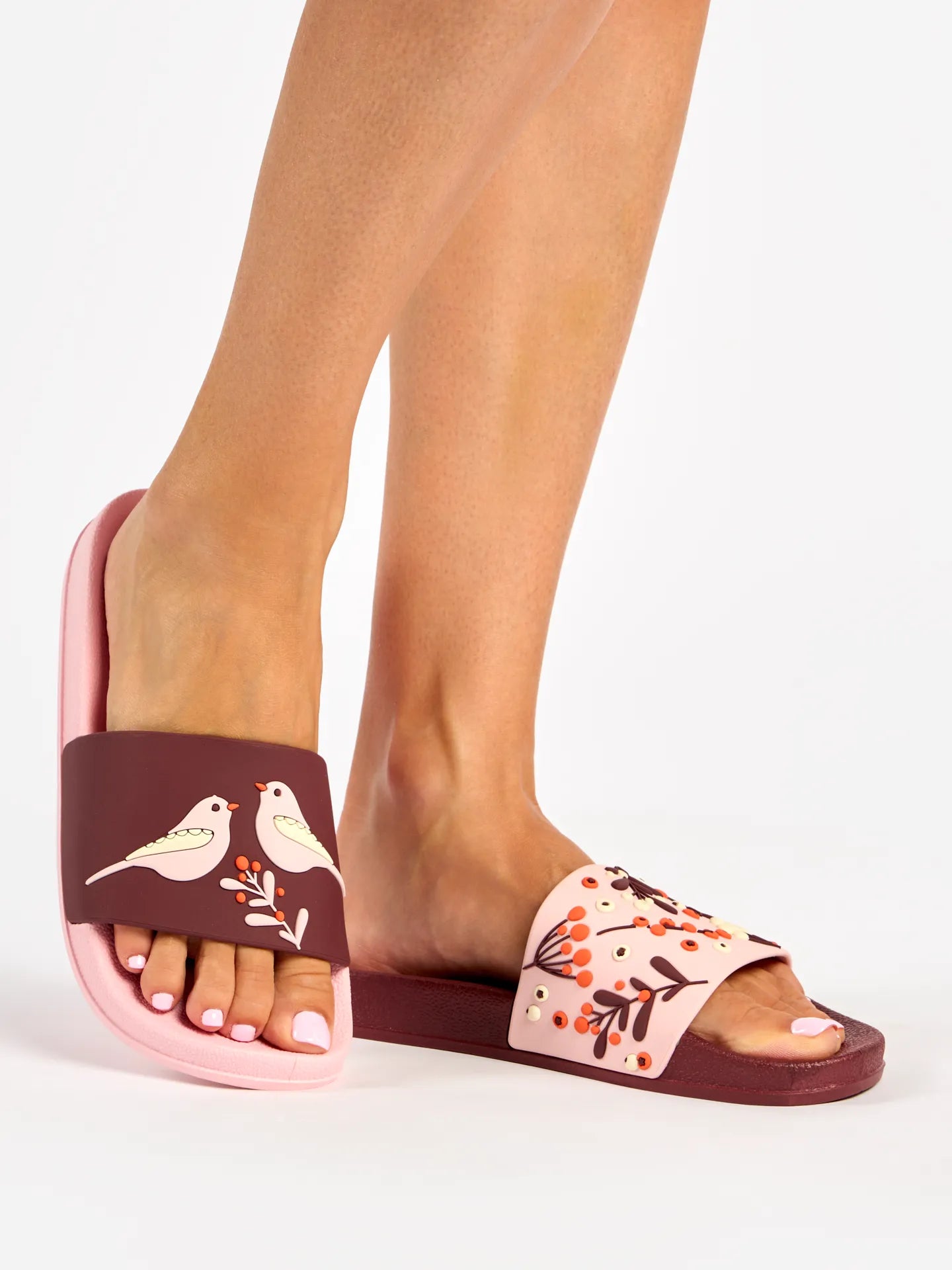 slides-birds-berries-47/472fdc9ee44fd8bc6e01c96e715f2e591b064e5b