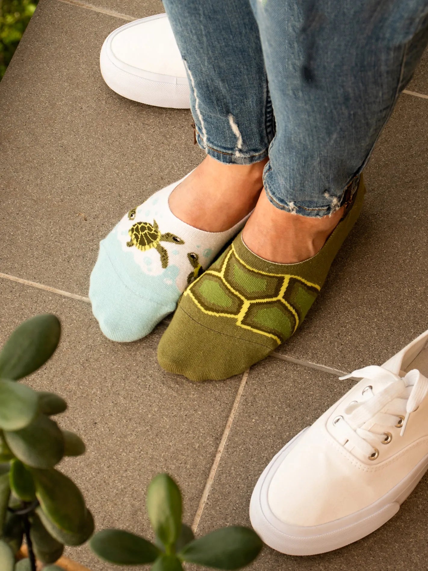 no-show-socks-sea-turtles-a3/a37dc420a7aa6d07cc5fb48fae2b3ef62964a8a0