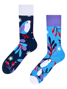 Warme Socken Wintervogel im Winter
