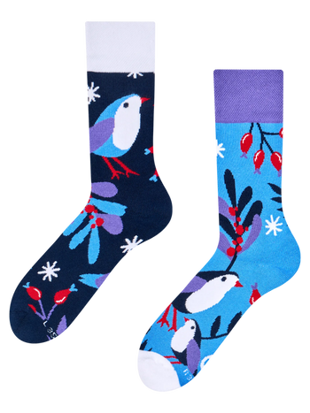 Warme Socken Wintervogel im Winter