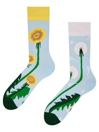 regular-socks-dandelion-spring-ab/abee8e95836f372c9f3949c53b50e7125ca94b5e