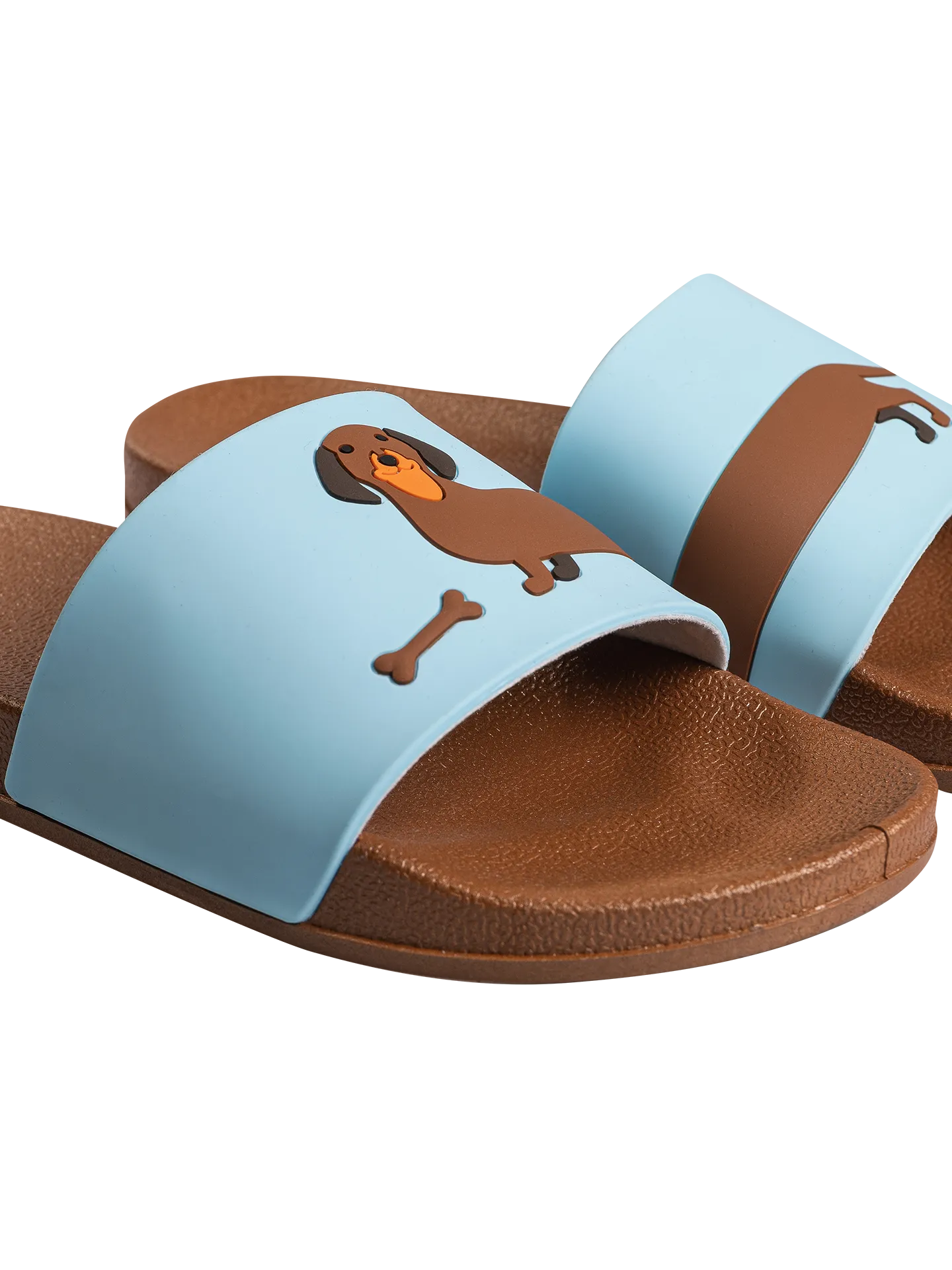 slides-long-dachshund-1-ae/ae7d42cd9957a28f417a7c0ed04072b6c5303744