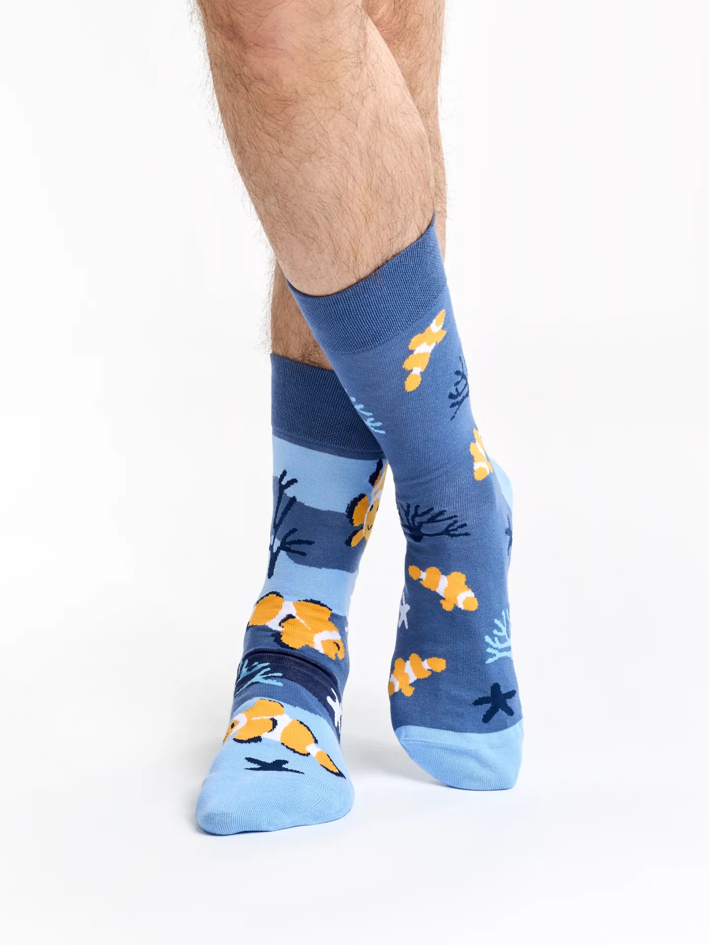 regular-socks-clown-fish-02-88/88a010fb8a8d5fb3a8bdda10511eed7fc4ada27c