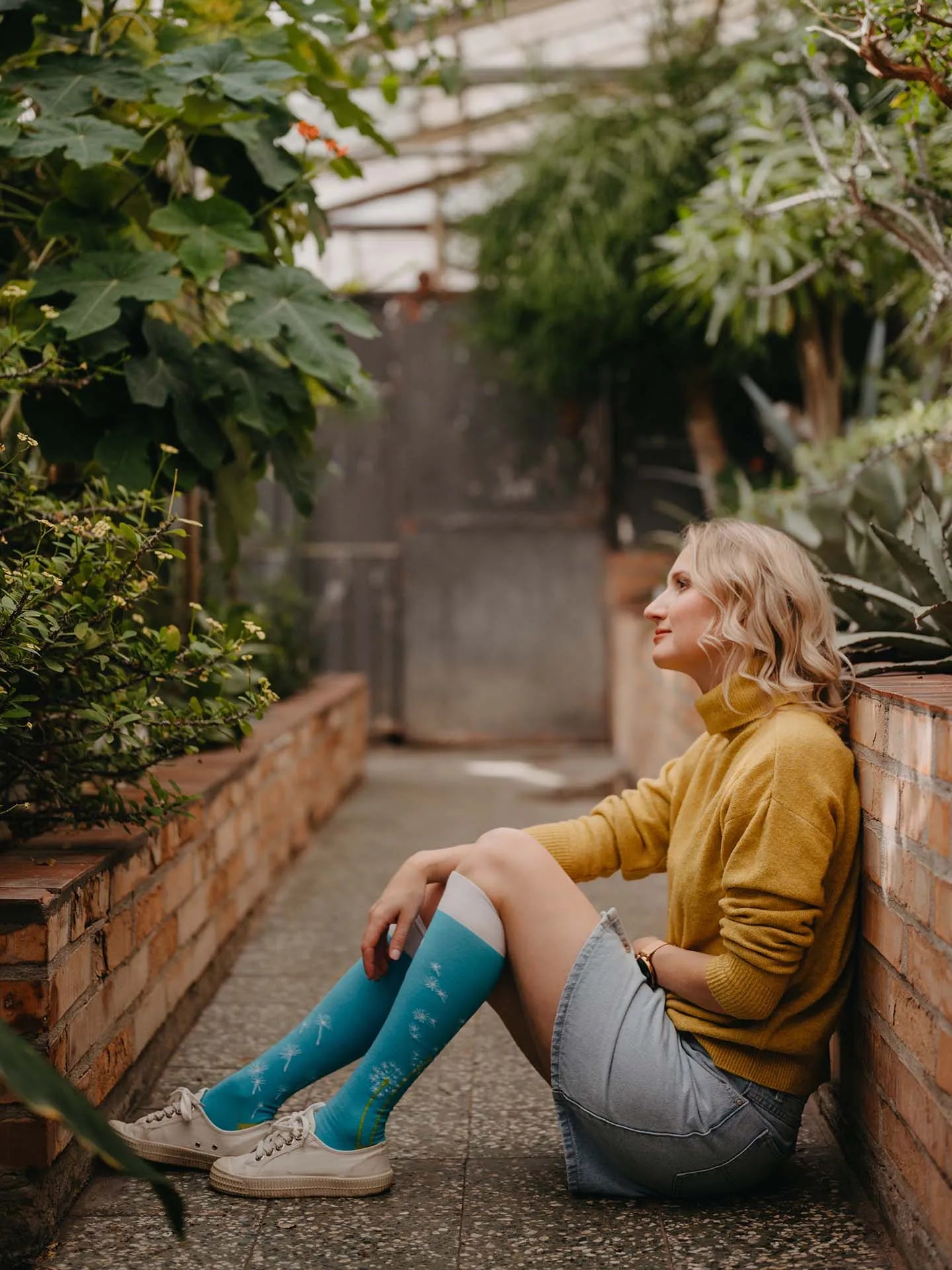 knee-high-socks-blowing-dandelion-ba/ba36cbd5d993dab693248b9c1863986d71dfeb59