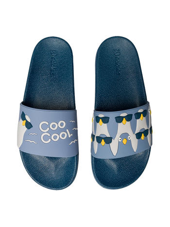 Lustige Pantoletten Coole Tauben