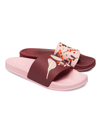 slides-birds-berries-f9/f9e30be02e390b62939a2af47571a1dc8001462a