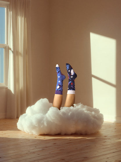 warm-socks-bird-in-winter-c0/c0d38b313edfe4598e0bdd64143c87921ddf0756