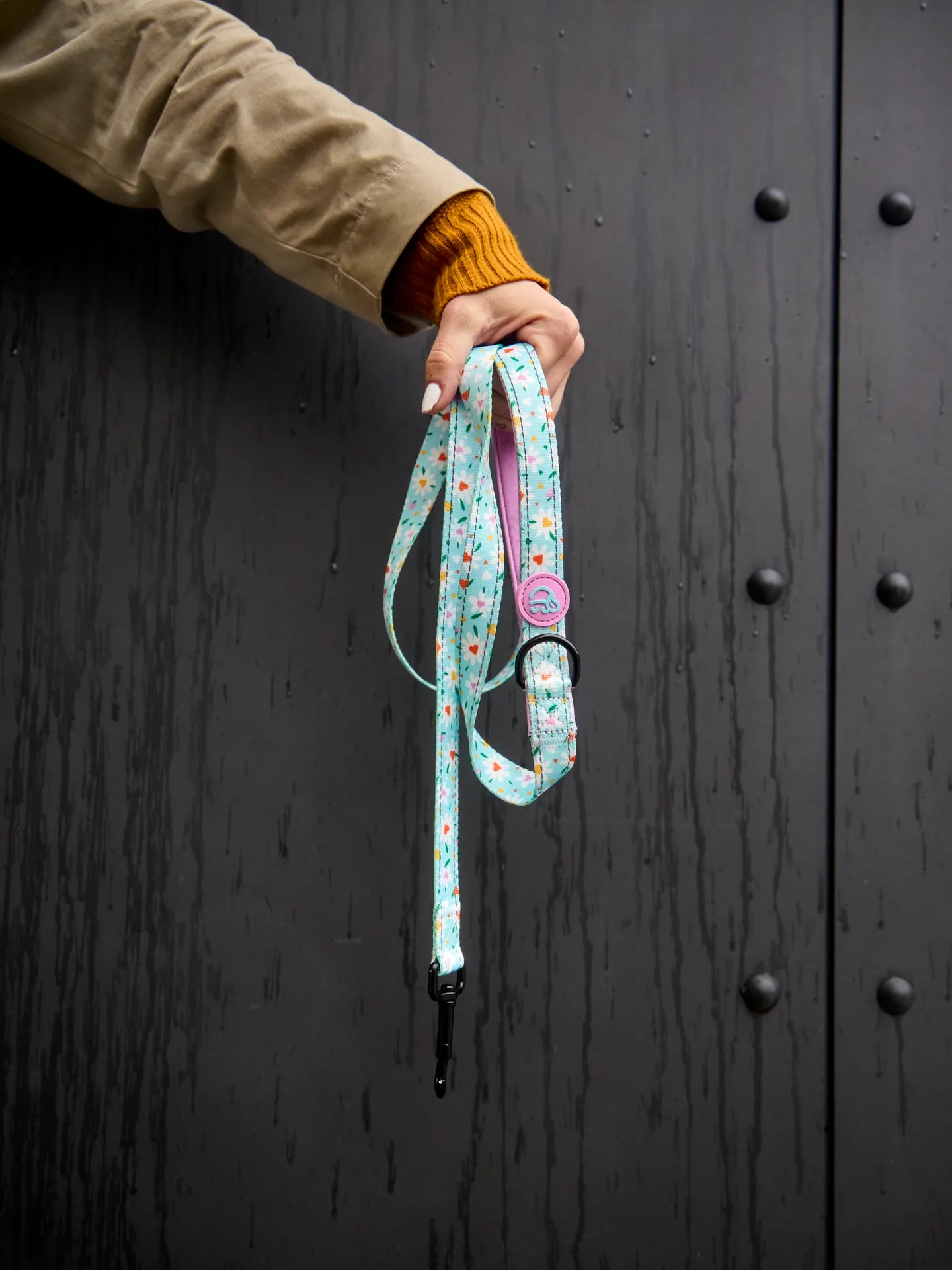 dog-leash-hearts-daisies-59/596ff35d7cda9bb49d4980cb1b4c023d2d60c785