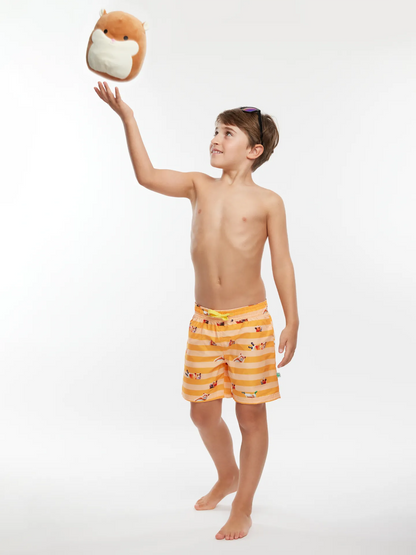 boys-swim-shorts-hamster-stripes-ce/ce850fa8f36bff5eab4191fccb83273d942122bb