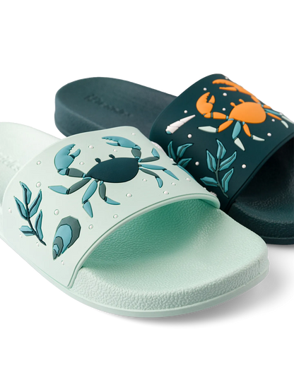 slides-sea-crab-1-d7/d70a0620183a791c4ed20a87a21d05ab2faa1321