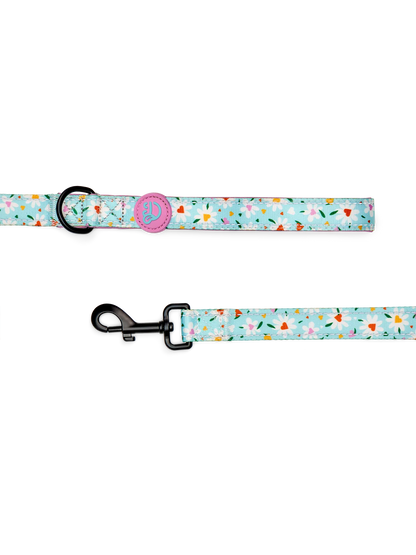 dog-leash-hearts-daisies-e5/e5392abccd876205922b1887f2febc0f508007fb