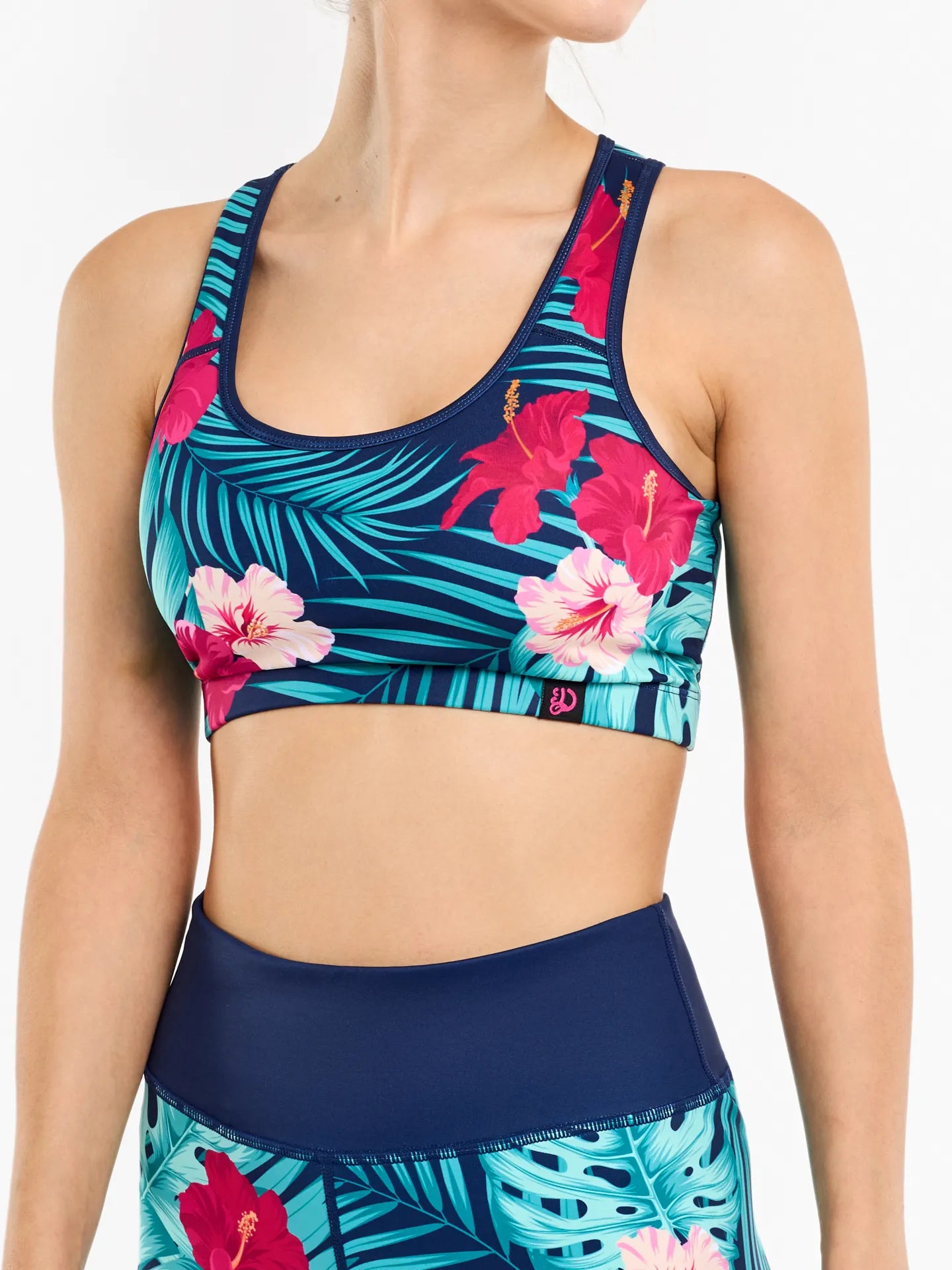 gym-top-tropical-paradise-a7/a7d955f460715716b6621b8aaf4d88007249fbd2