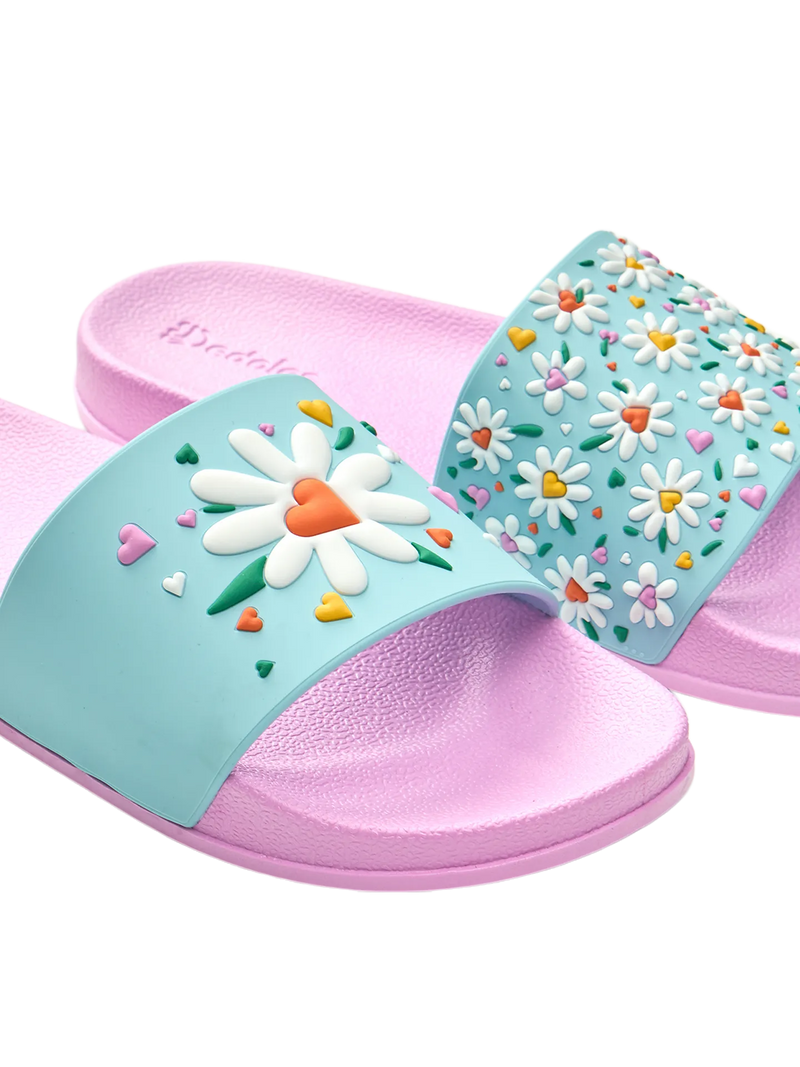 slides-hearts-daisies-ee/ee90d7238f9e5798176909ccd145609f169efd1b
