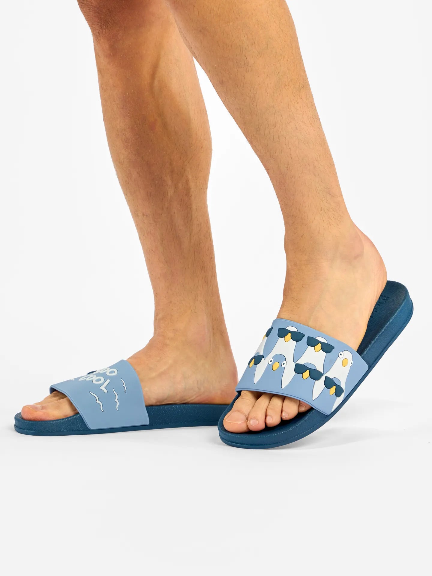 slides-cool-pigeons-ee/eeaa576675c90de81bd61a4898cb3006f4cb8339